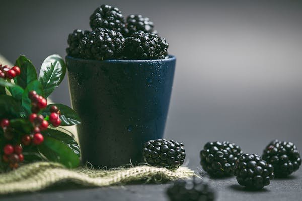 blackberries-bewellmag.com